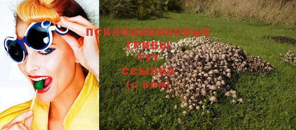 скорость Касимов