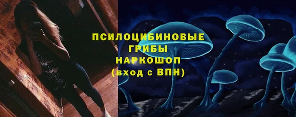 ешки Каменск-Шахтинский