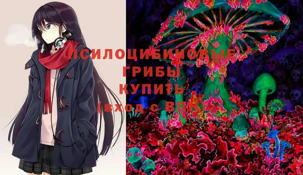 apvp Карталы