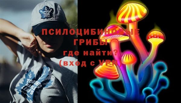 наркотики Каменка