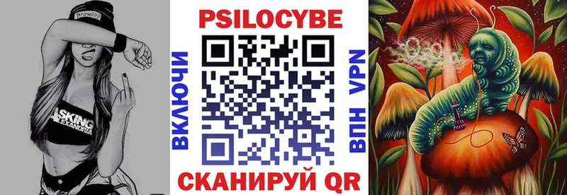 Купить  Гаврилов-Ям  Галлюциногенные грибы прущие грибы 